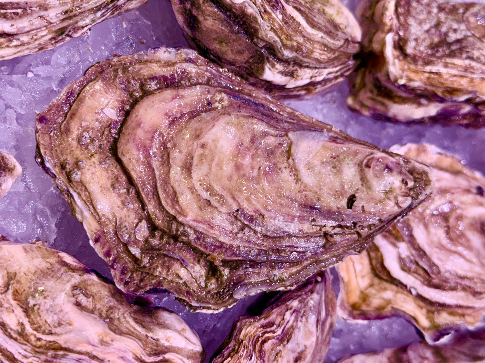 Ostras gallegas frescas disponibles en OSTRES BCN en La Boqueria